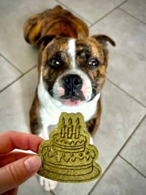 anniversaire-chiens-biscuits