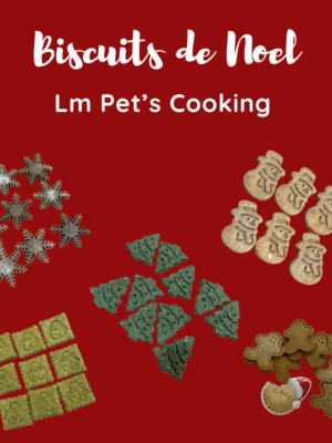 biscuits-de-noel-pour-chiens