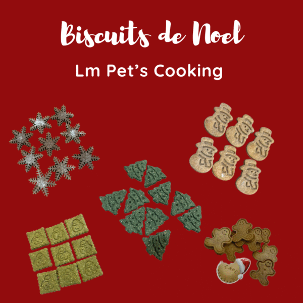 biscuits-de-noel-pour-chiens
