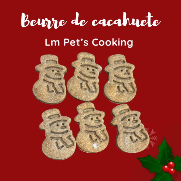 Biscuits de Noël pour chiens