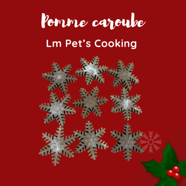 biscuits-de-noel-pour-chiens