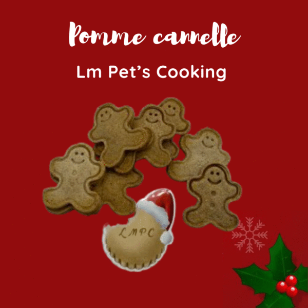 Biscuits-de-Noël-pour-chiens