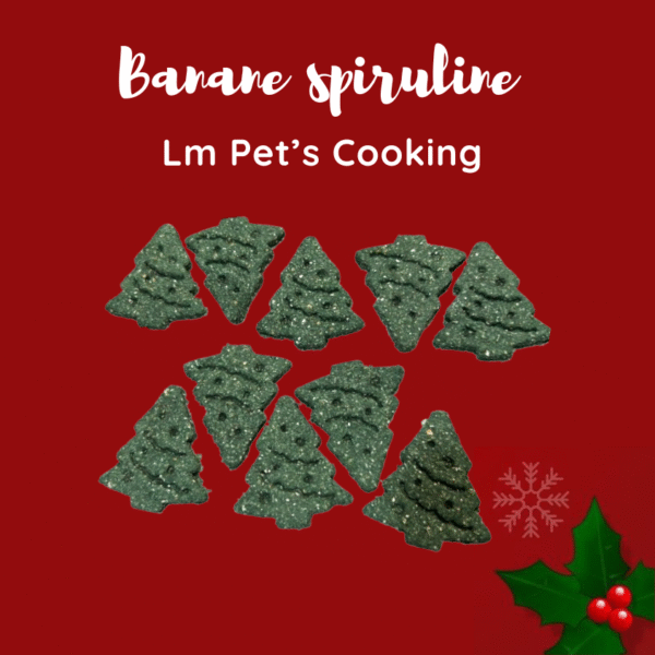 Biscuits de Noël pour chiens
