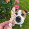 Anchois-doré-friandise-chien-chat Anchois-doré-friandise-chien-chat
